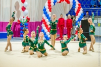 © ВФЭГ (RFAG)