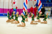 © ВФЭГ (RFAG)