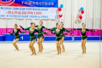 © ВФЭГ (RFAG)