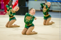 © ВФЭГ (RFAG)