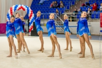 © ВФЭГ (RFAG)