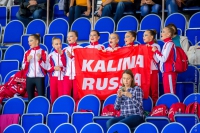 © ВФЭГ (RFAG)