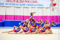 © ВФЭГ (RFAG)