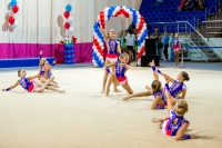 © ВФЭГ (RFAG)