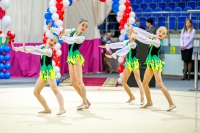 © ВФЭГ (RFAG)