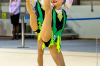 © ВФЭГ (RFAG)