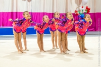 © ВФЭГ (RFAG)