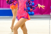 © ВФЭГ (RFAG)