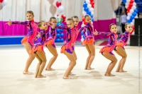 © ВФЭГ (RFAG)