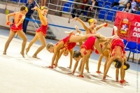 © ВФЭГ (RFAG)