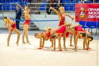 © ВФЭГ (RFAG)