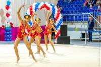 © ВФЭГ (RFAG)