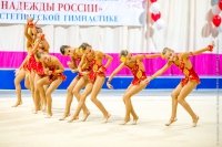 © ВФЭГ (RFAG)