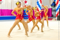 © ВФЭГ (RFAG)