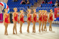 © ВФЭГ (RFAG)