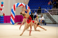© ВФЭГ (RFAG)