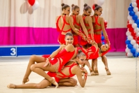 © ВФЭГ (RFAG)