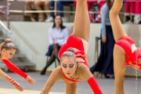 © ВФЭГ (RFAG)