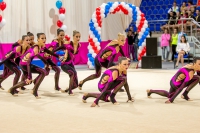 © ВФЭГ (RFAG)