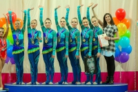 © ВФЭГ (RFAG)
