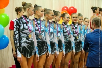 © ВФЭГ (RFAG)