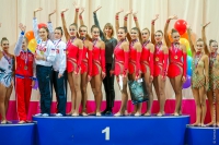 © ВФЭГ (RFAG)