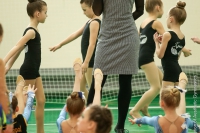 © ВФЭГ (RFAG)