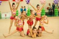 © ВФЭГ (RFAG)