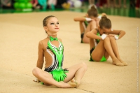 © ВФЭГ (RFAG)
