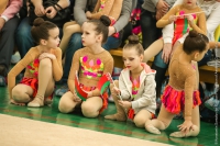 © ВФЭГ (RFAG)