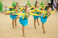 © ВФЭГ (RFAG)