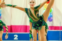 © ВФЭГ (RFAG)