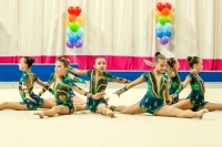 © ВФЭГ (RFAG)
