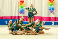 © ВФЭГ (RFAG)