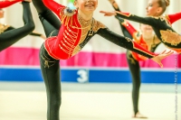 © ВФЭГ (RFAG)