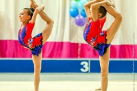 © ВФЭГ (RFAG)