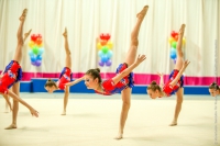 © ВФЭГ (RFAG)
