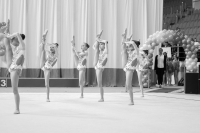 © ВФЭГ (RFAG)