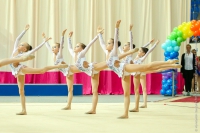 © ВФЭГ (RFAG)