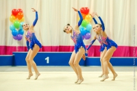© ВФЭГ (RFAG)