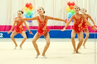 © ВФЭГ (RFAG)