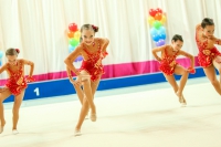 © ВФЭГ (RFAG)