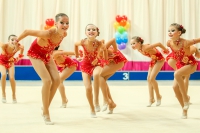 © ВФЭГ (RFAG)