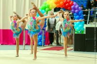 © ВФЭГ (RFAG)