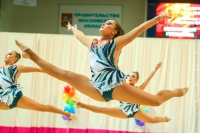 © ВФЭГ (RFAG)