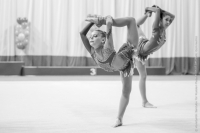 © ВФЭГ (RFAG)