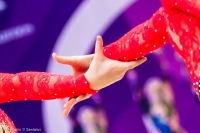 © ВФЭГ (RFAG)