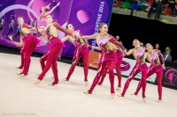 © ВФЭГ (RFAG)