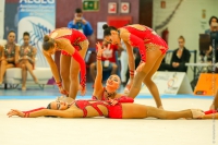 © ВФЭГ (RFAG)