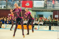 © ВФЭГ (RFAG)